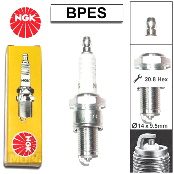 NGK Zündkerze BP6ES LANGGEWINDE Zündapp ZR ZX ZS  CS 50 Hai 50 Suzuki TS TSX 50